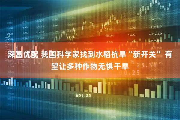 深富优配 我国科学家找到水稻抗旱“新开关” 有望让多种作物无惧干旱