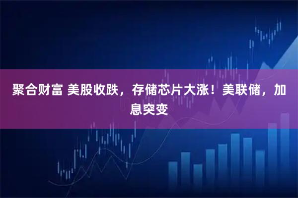 聚合财富 美股收跌，存储芯片大涨！美联储，加息突变